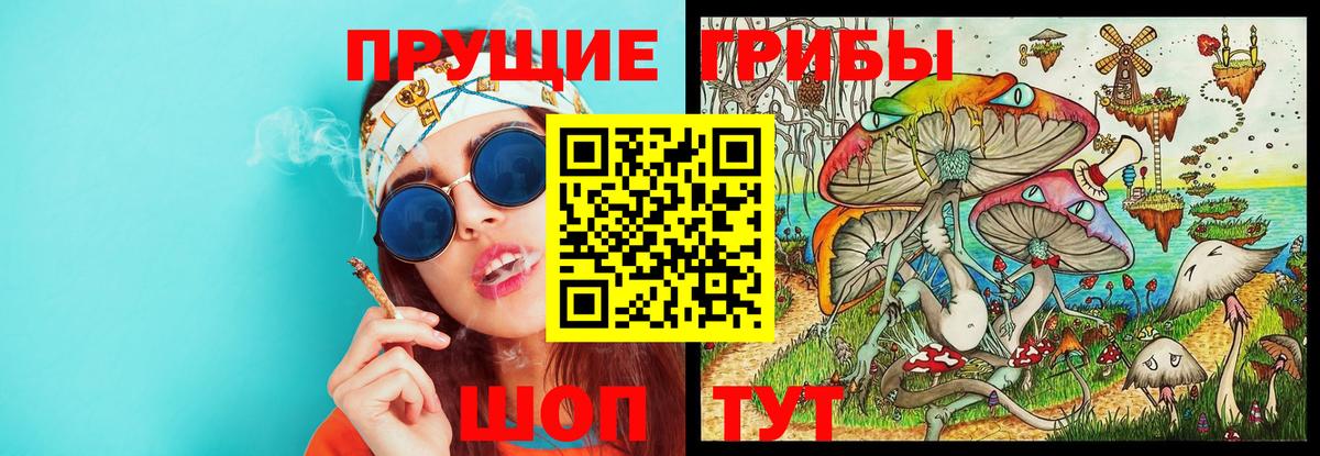 Щёлково  Псилоцибиновые грибы GOLDEN TEACHER  Вход с VPN  Псилоцибиновые грибы Psilocybe 
