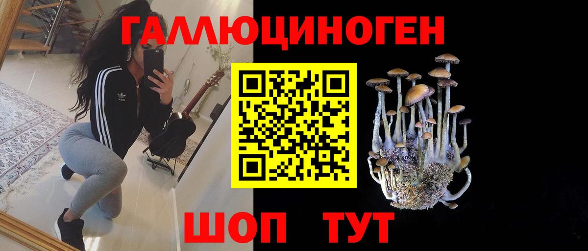 Галлюциногенные грибы мухоморы Щёлково
